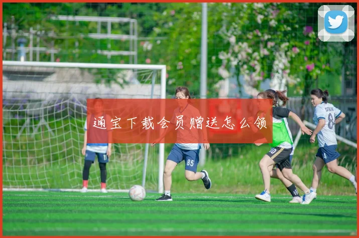 通宝下载会员赠送怎么领