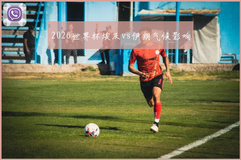 2026世界杯埃及vs伊朗气候影响